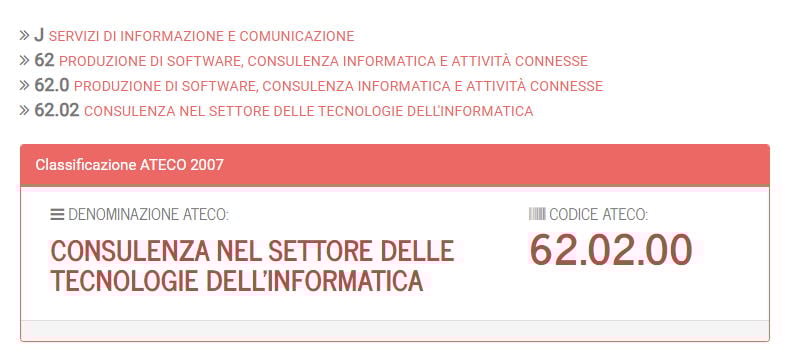 ATECO: consulenza nel settore delle tecnologie dell'informatica